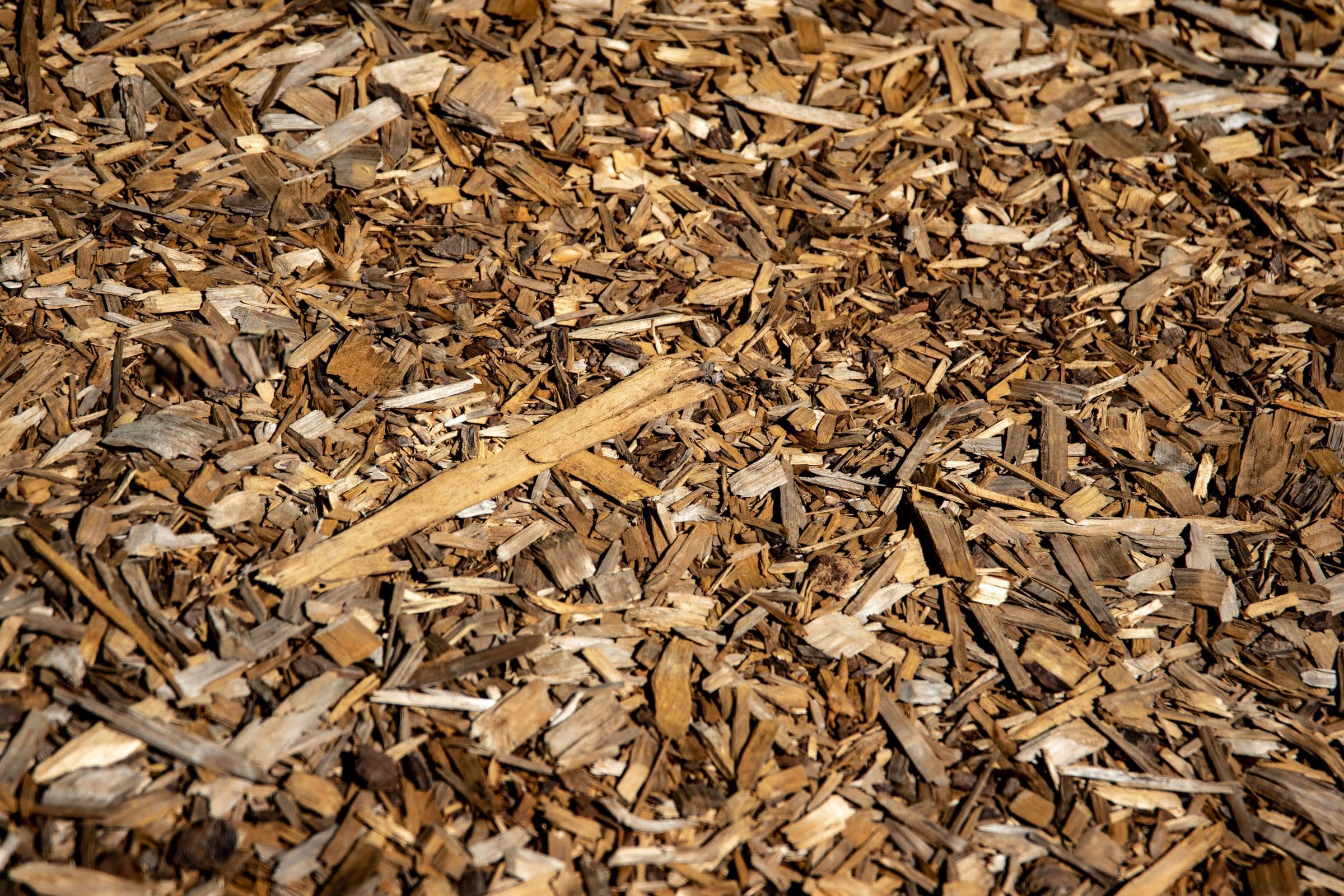 Coarse fresh bark chippings filling the frame, pale tan and dry on top, with fragments of split wood and a few dead leaves caught in the surface.