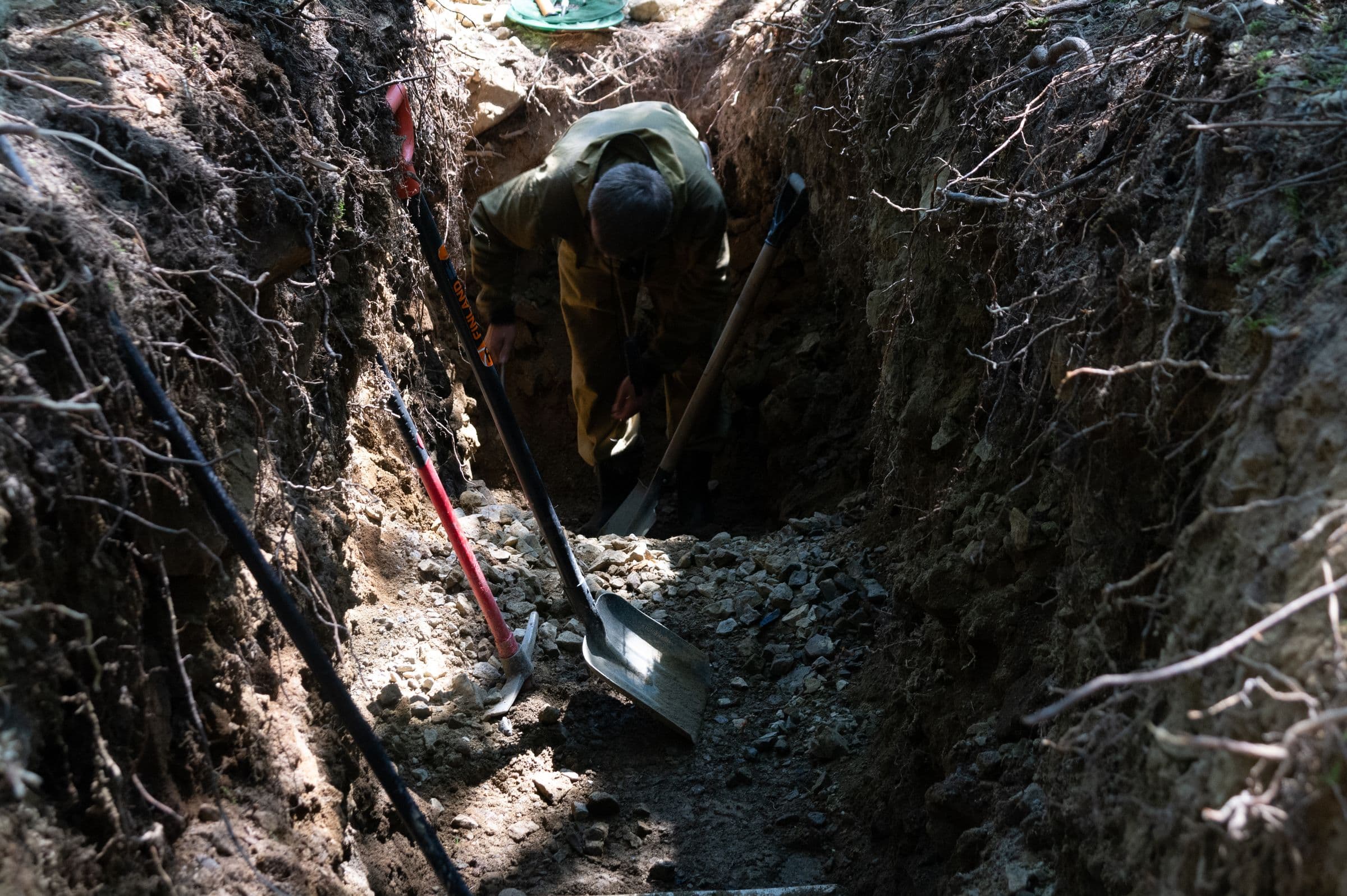 A deep narrow trench cut through dark soil with severed pale roots visible in its walls, a shovel and a pick lying across the top.